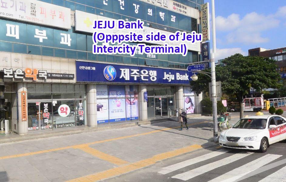 済州お花見、チェジュ観光、チェジュ絶景、チェジュの桜＆菜の花ツアー、チェジュツアー、チェジュ一日ツアー、チェジュ旅行